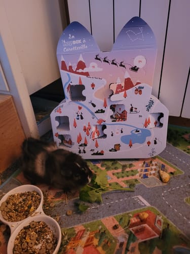 Customer photo review of Calendrier de l’Avent - La Hopbox à CarotteVille