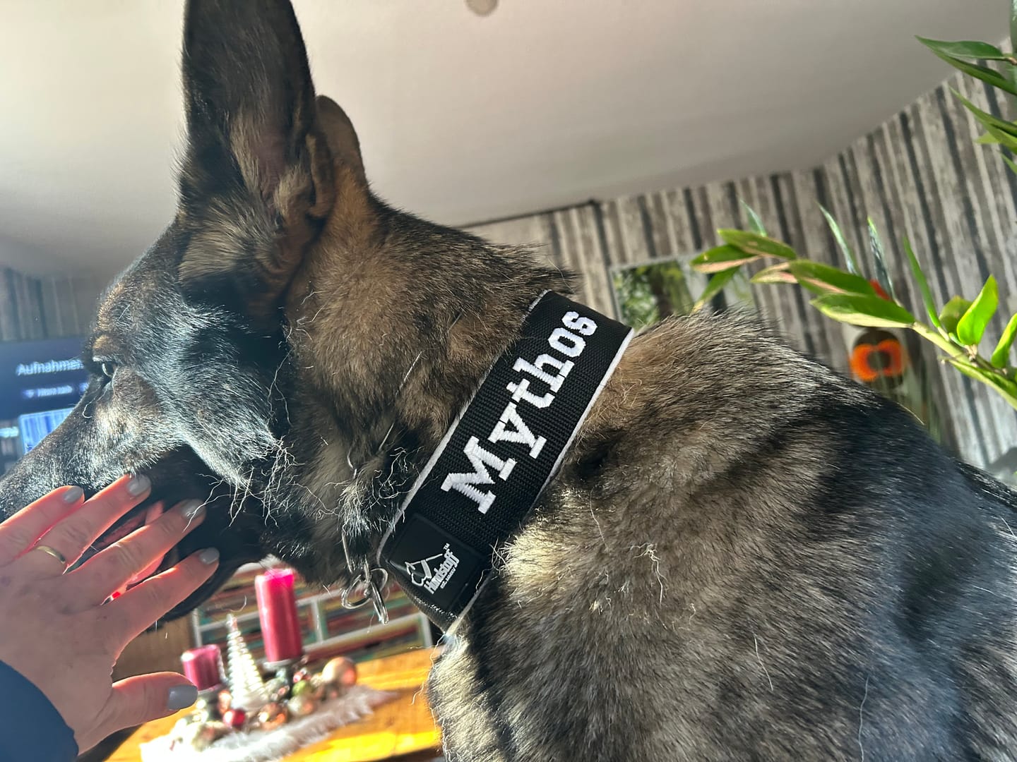 Customer photo review of Helstryp halsband med namn