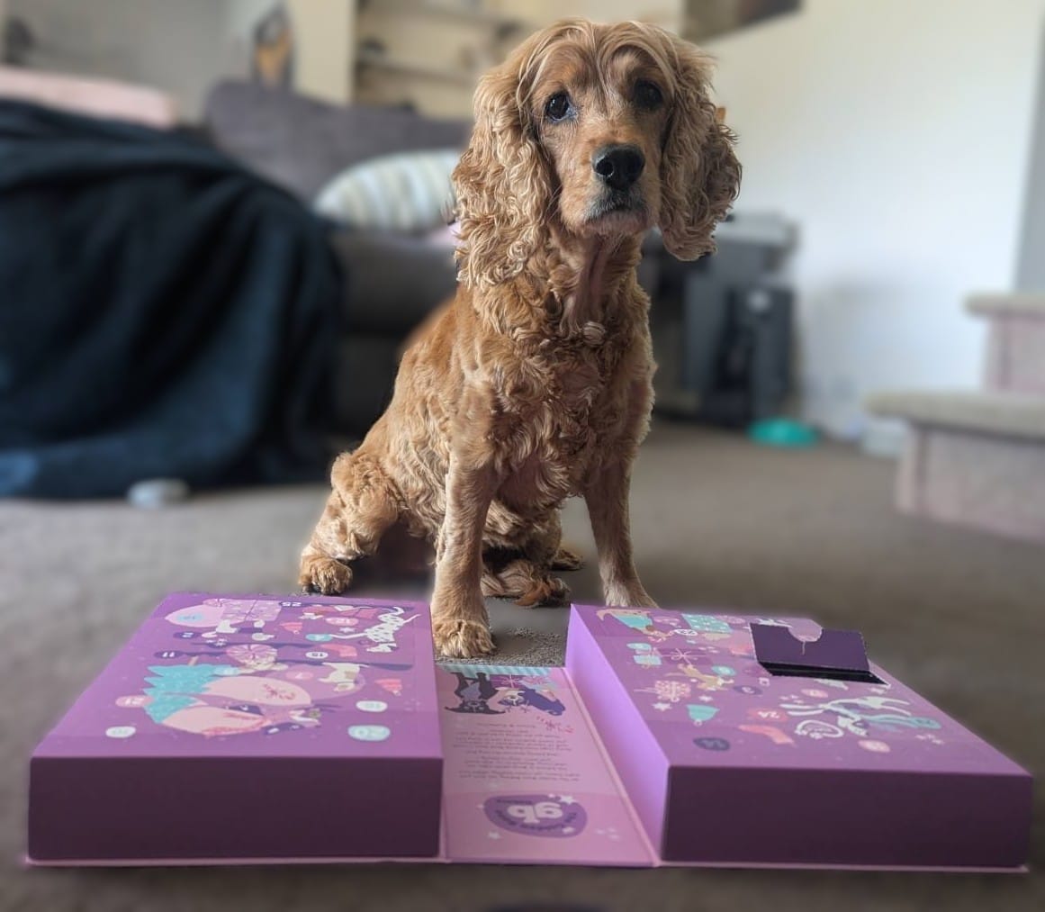 Customer photo review of Christmas Dog Treats Advent Calendar