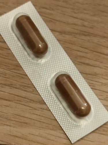 レビュー投稿者の、シートに入った茶色いピュアプラセンタD.R.のカプセル2錠。