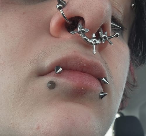 Close-up of a customer wearing the silver TRIPLE CROSS SEPTUM ring in their septum piercing, among other facial piercings.