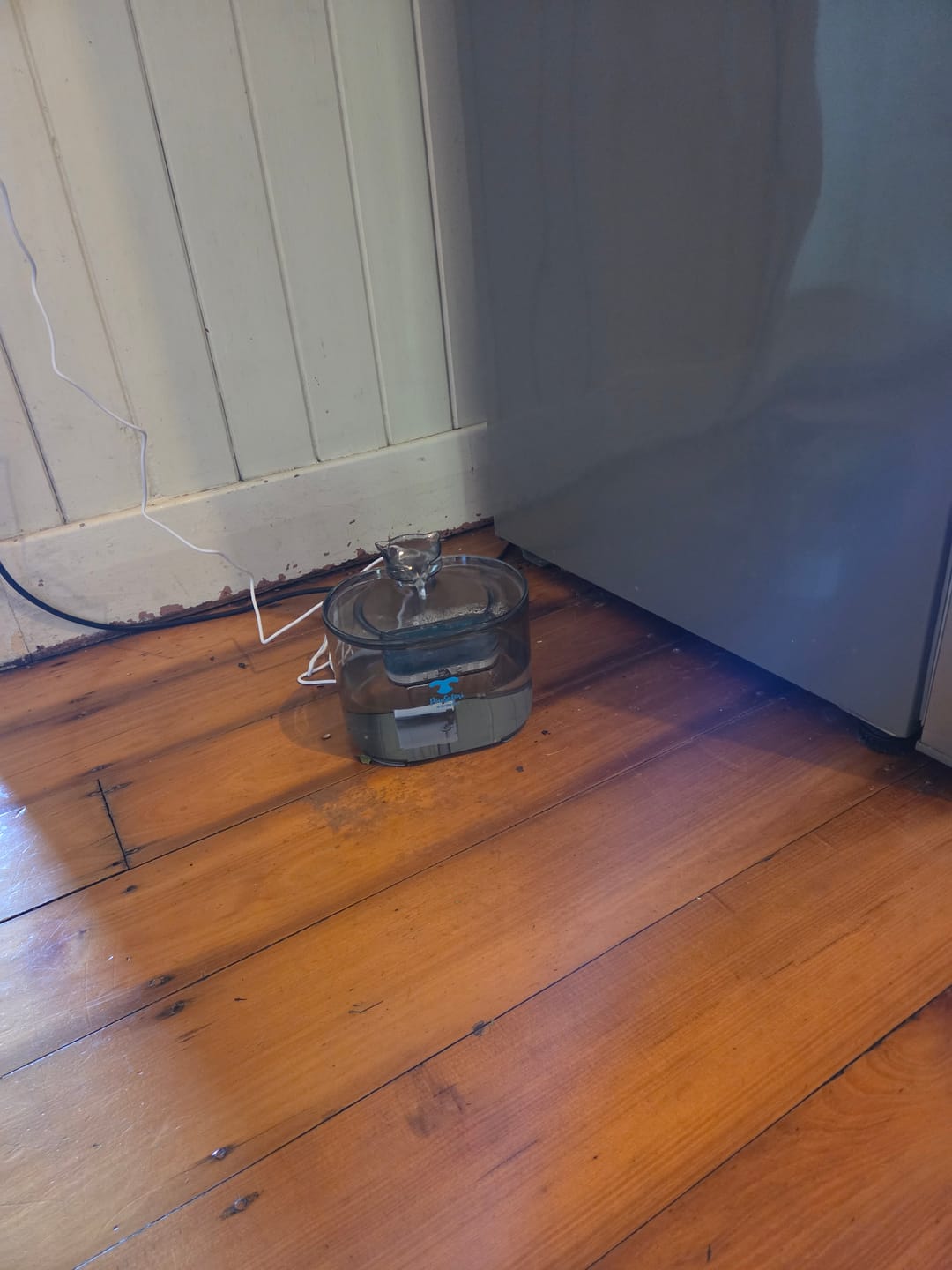 Customer photo review of 2.2L Transparent Pet Water Fountain with Dual Flow Mode