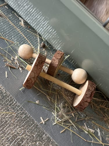 Customer photo review of Pack de 2 Haltères en Bois 💪