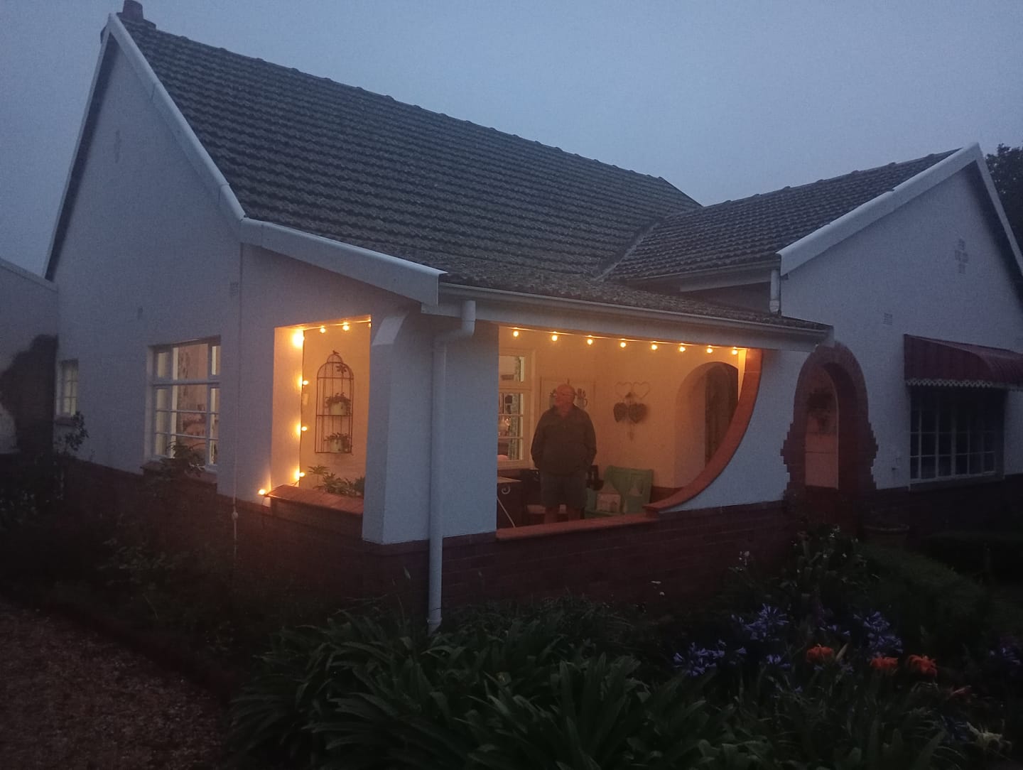Customer photo review of Solar Mini Bulb String Lights