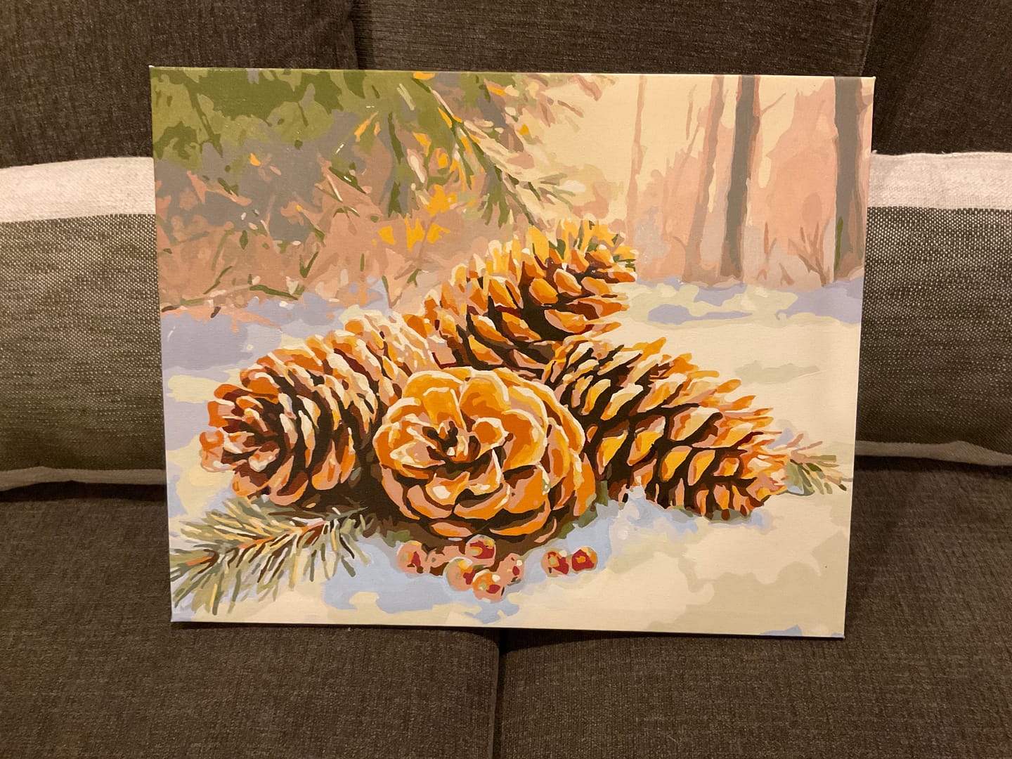 Customer photo review of Winter Pinecones