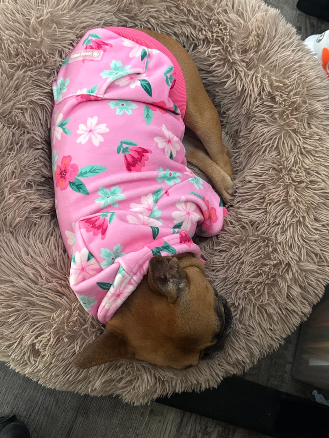 Customer photo review of Blossom Dog Hoodie - Pink