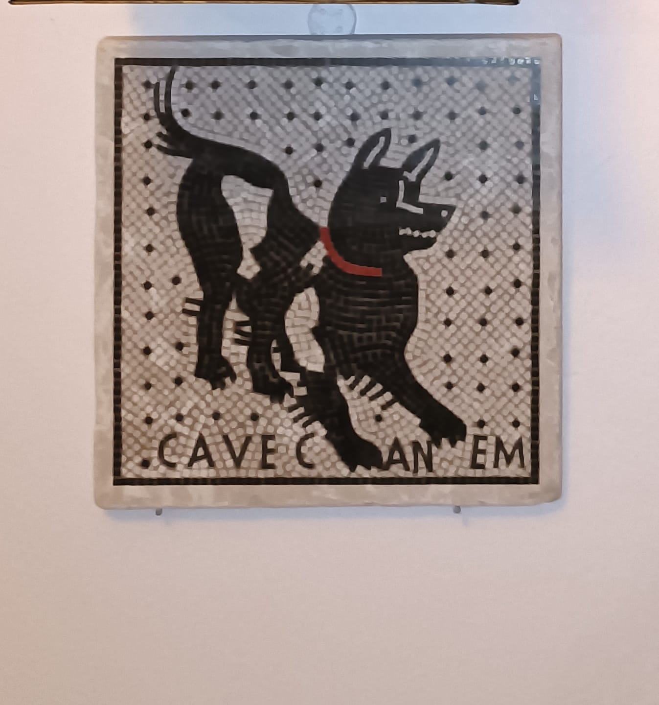 Customer photo review of Piastrella Cave Canem Pompei
