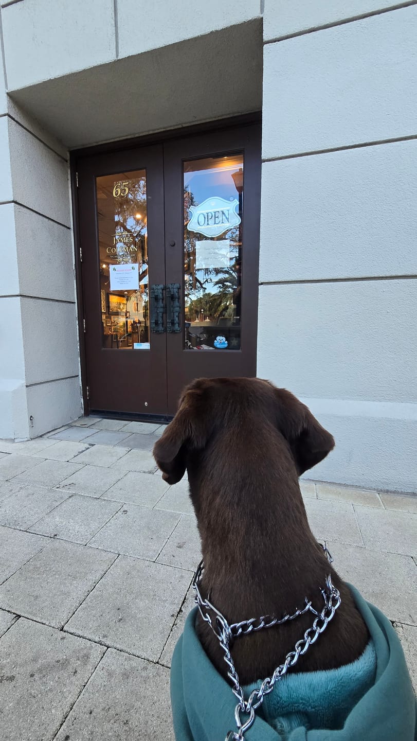 Customer photo review of Cuban Link Chain Dog Collar - Gold