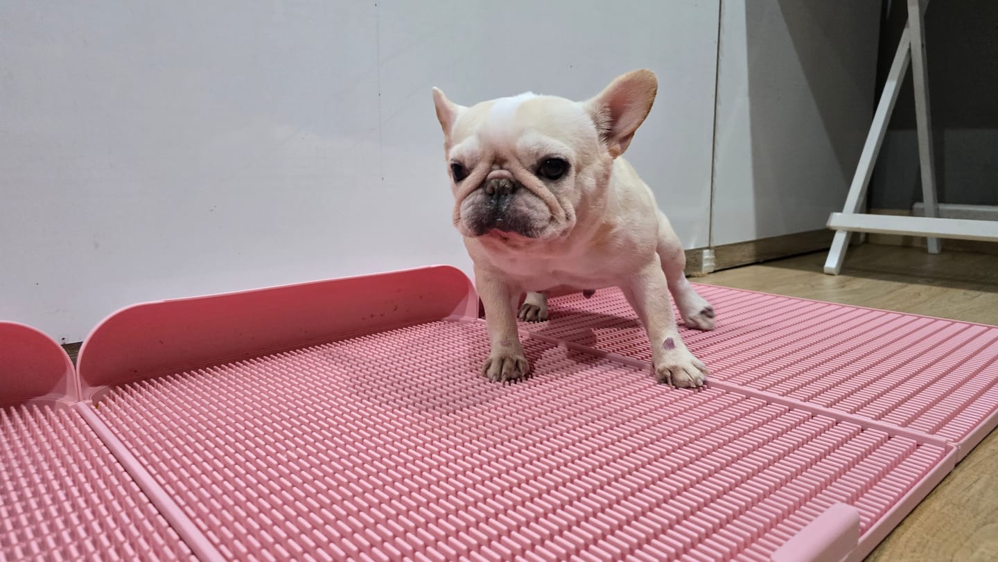 Customer photo review of Extended Protrusion Potty Pad (Size L)
