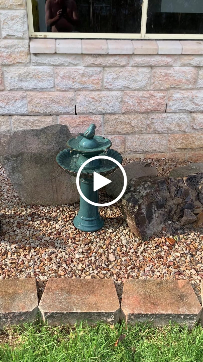 Customer video review of Maisy Ceramic Bird Bath Fountain - 2 Colours