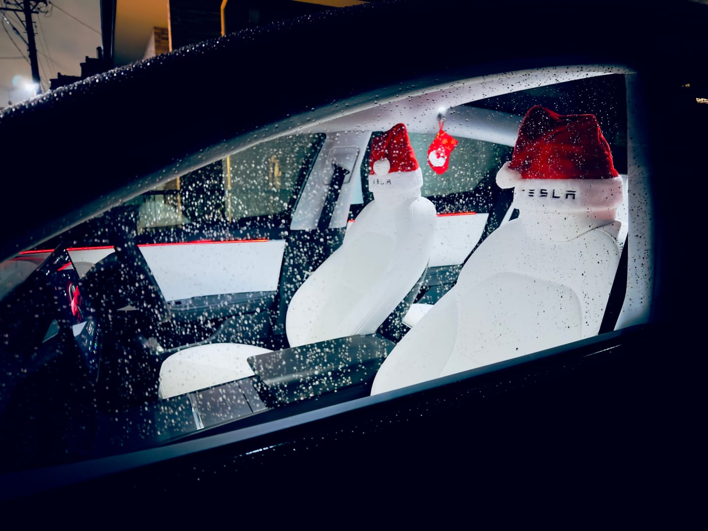 Customer photo review of Christmas Decor Kit For Tesla