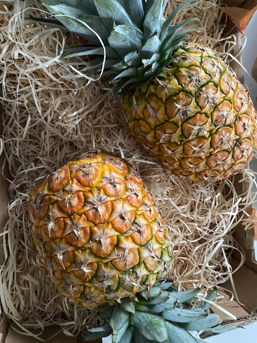 Customer photo review of Ananas Flugware reifgeerntet (Stk. ca. 1,5kg-2kg) Aktionspreis %