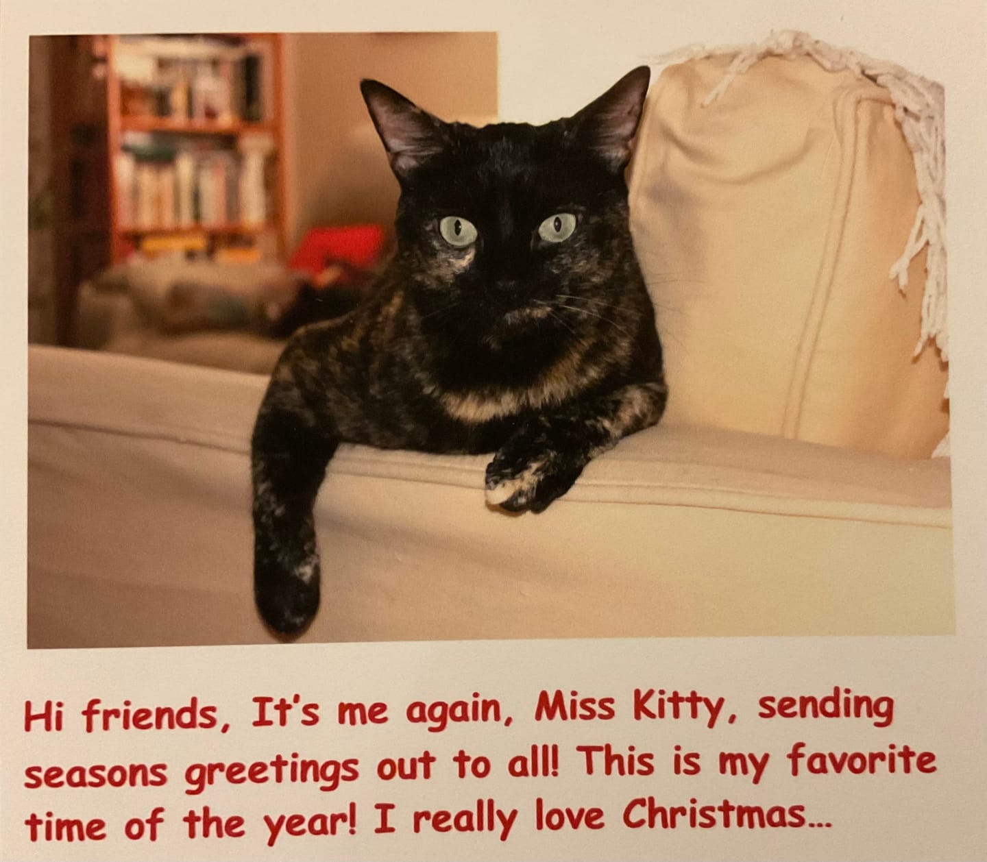 Customer photo review of Dog & Cat Scoot Stopper & Anal Gland Remedy