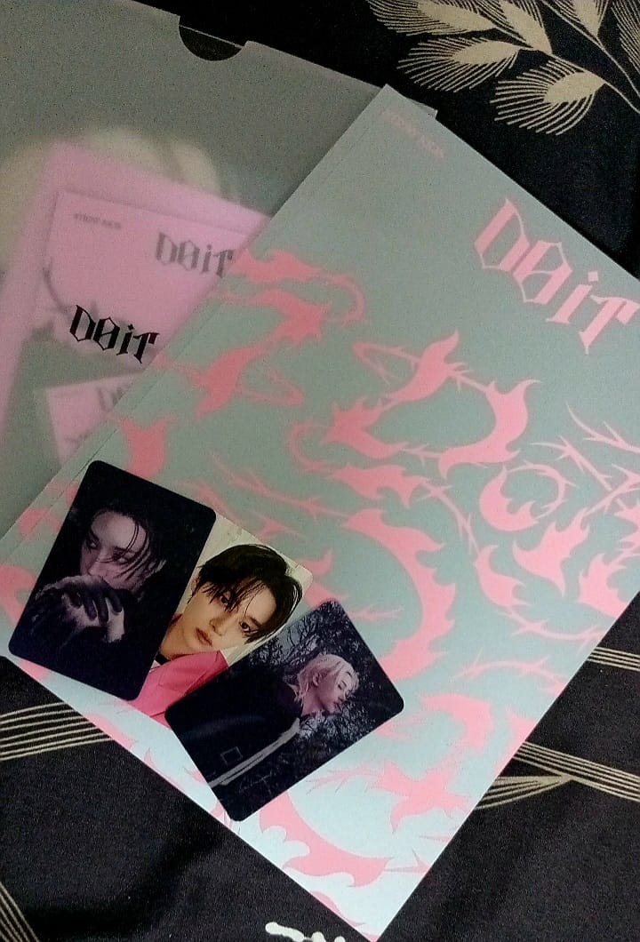 Customer photo review of STRAY KIDS - DO IT SKZ IT TAPE ALBUM STANDARD IT VER