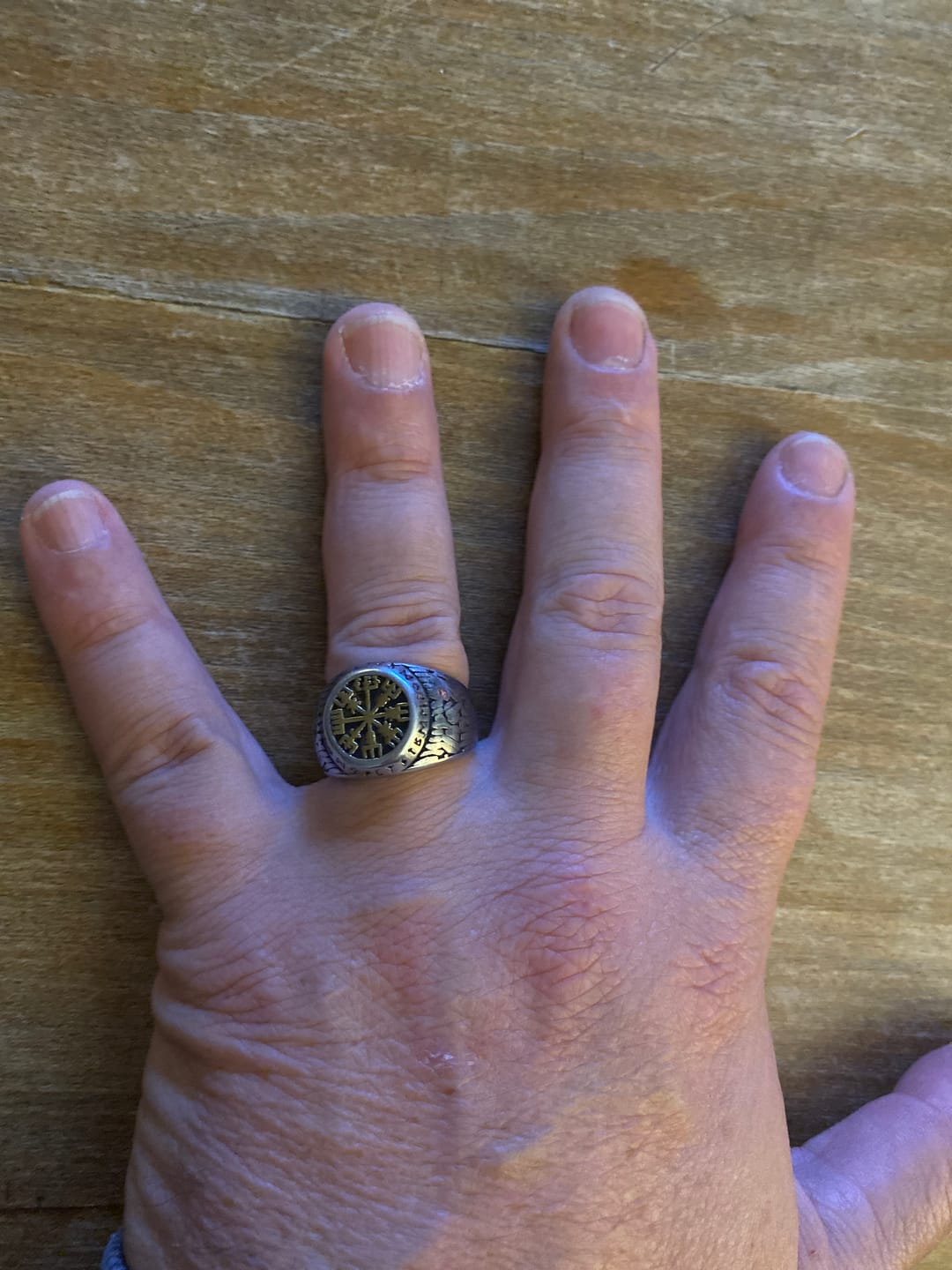 Customer photo review of TRAVELER.