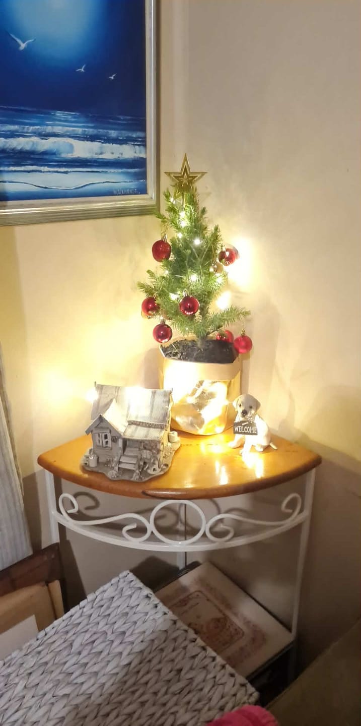 Customer photo review of Tiny Christmas Tree