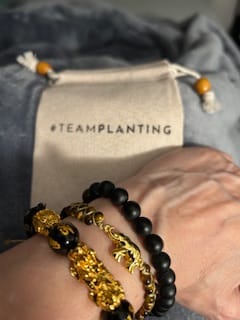 Customer photo review of Elephant of Wisdom Bracelet