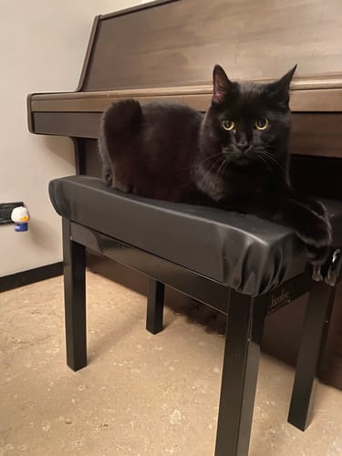 Customer photo review of Ricarica Diffusore Petnatura (48 ml)