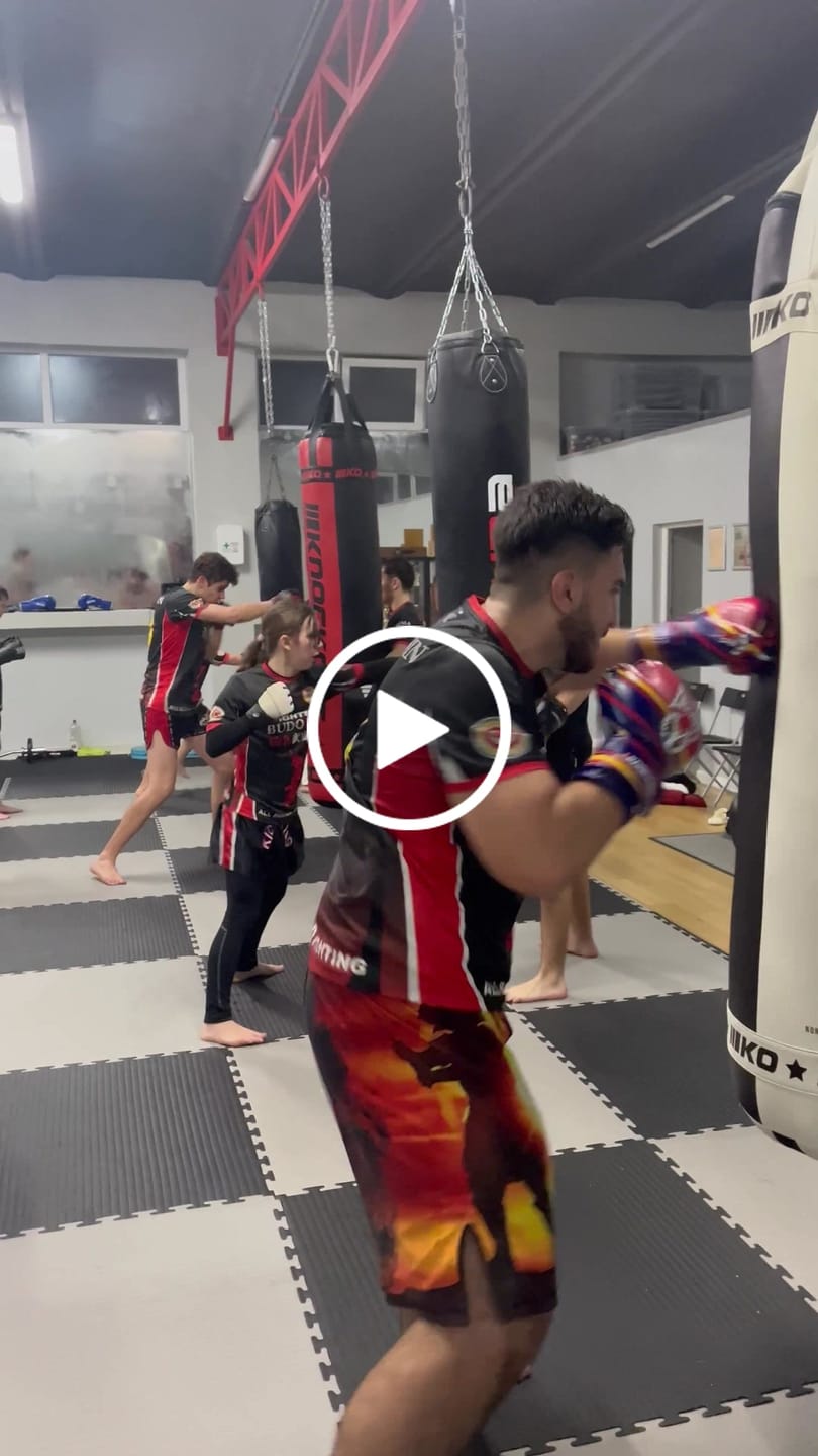 Customer video review of Manusi Box Knockout FRB