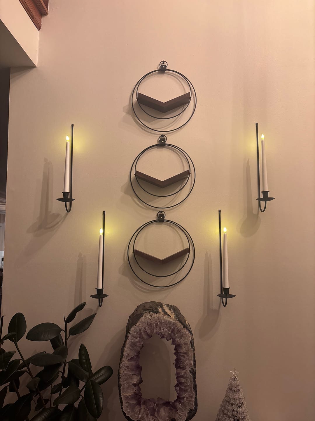Customer photo review of Air Plant V-Hanger Trio