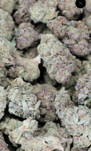 Customer photo review of Skunk Junction