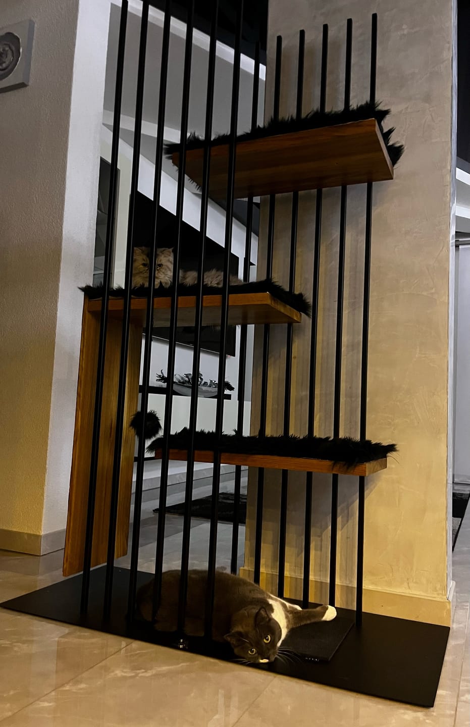 Customer photo review of STYA Katzen Kratzbaum MS210 | Schwarz