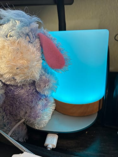 Customer photo review of Friendship Lamp