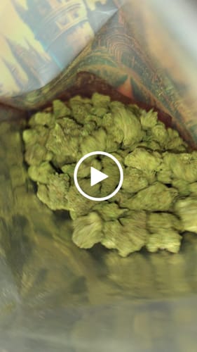 Customer video review of Cheap Indoor THCA Flower2