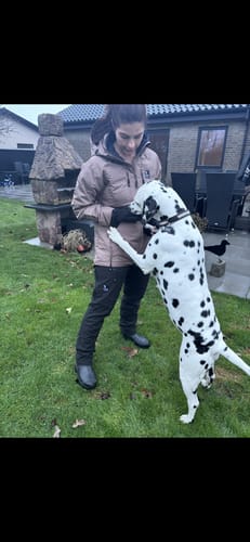 Kundeanmeldelse med foto af Hundelufterbukser 3.0 | Vinter | Sort | Kort | Charlie