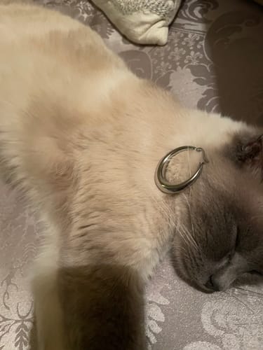 Customer photo review of Boucles d'oreilles Nakuru