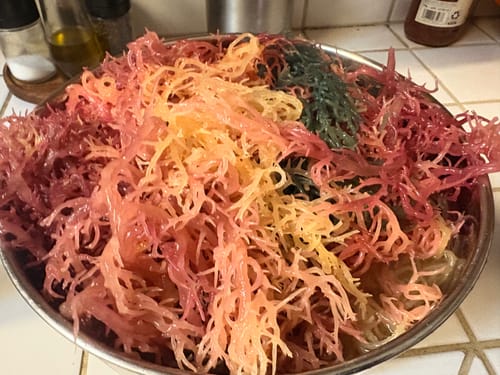 Customer photo review of Premium Full Spectrum St. Lucian Wildcrafted Raw Sun dried Sea Moss (Irish Sea Moss)