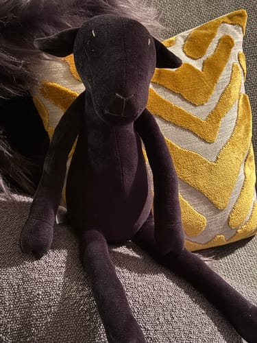 Customer photo review of MAIA, LA BREBIS - L