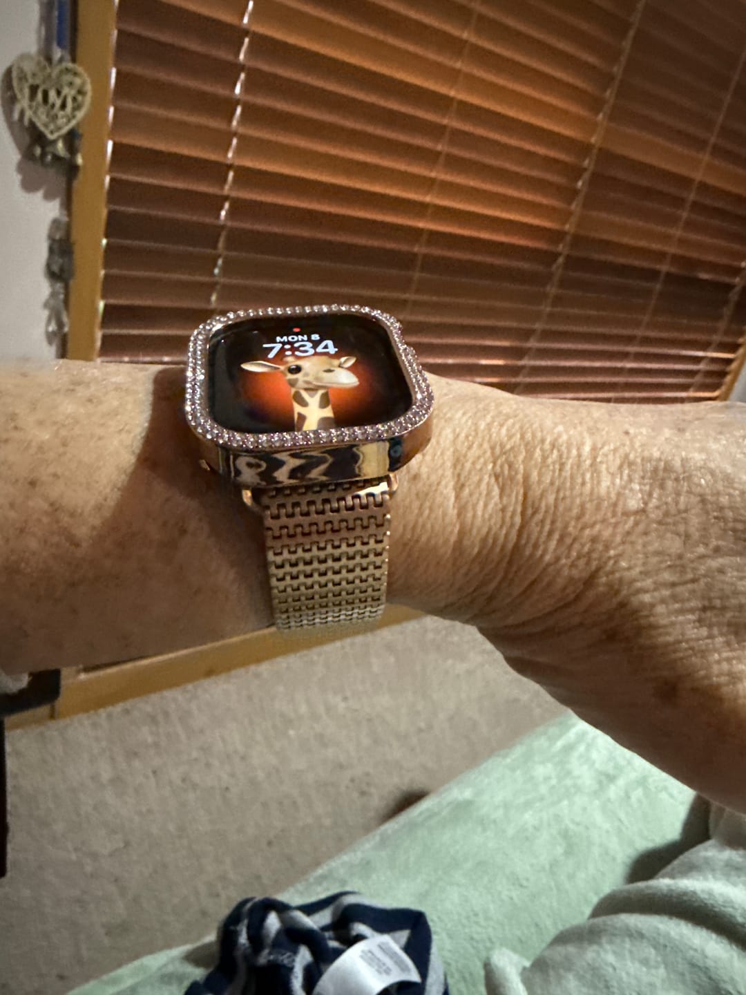 Customer photo review of Stella Magnetic Stainless Band