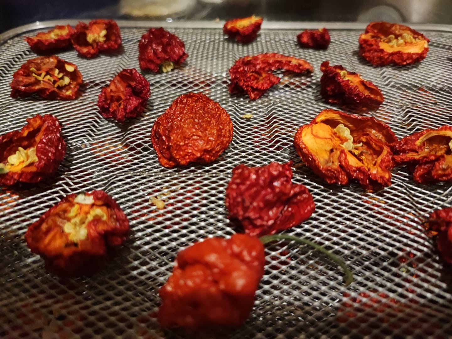 Customer photo review of Frische Carolina Reaper, 100g