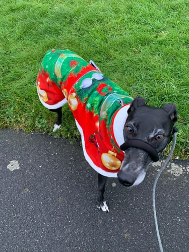 Customer photo review of Sighthound Christmas Tree Warm Fleece Coat / Jumper