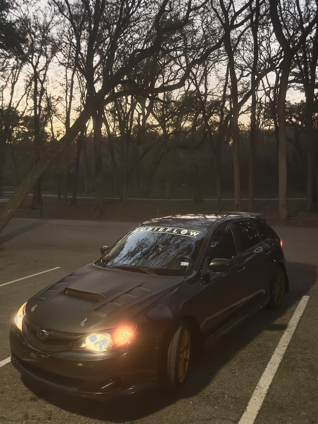 Customer photo review of SubieFlow Windshield Banners