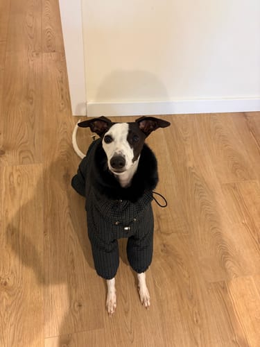 Customer photo review of WinterCore Down Jacket