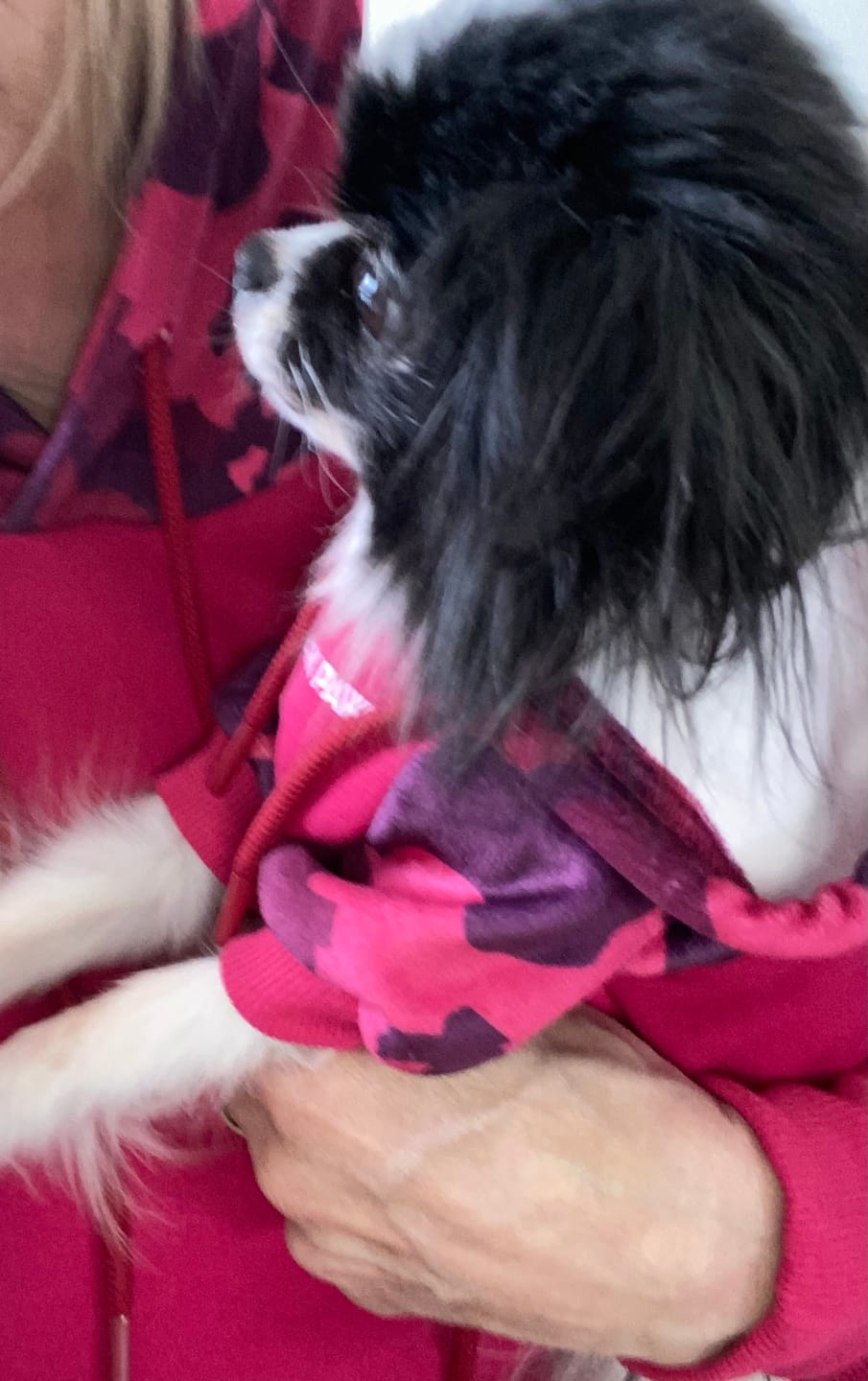 Customer photo review of Fuchsia Camo Human Hoodie