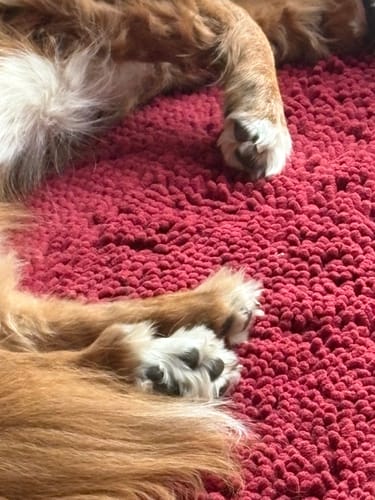 Customer photo review of Premium - CleanyMat