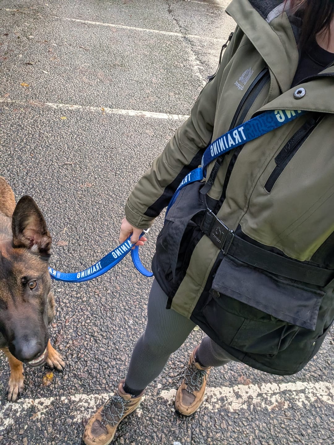 Customer photo review of Awareness Multi-Way Lead