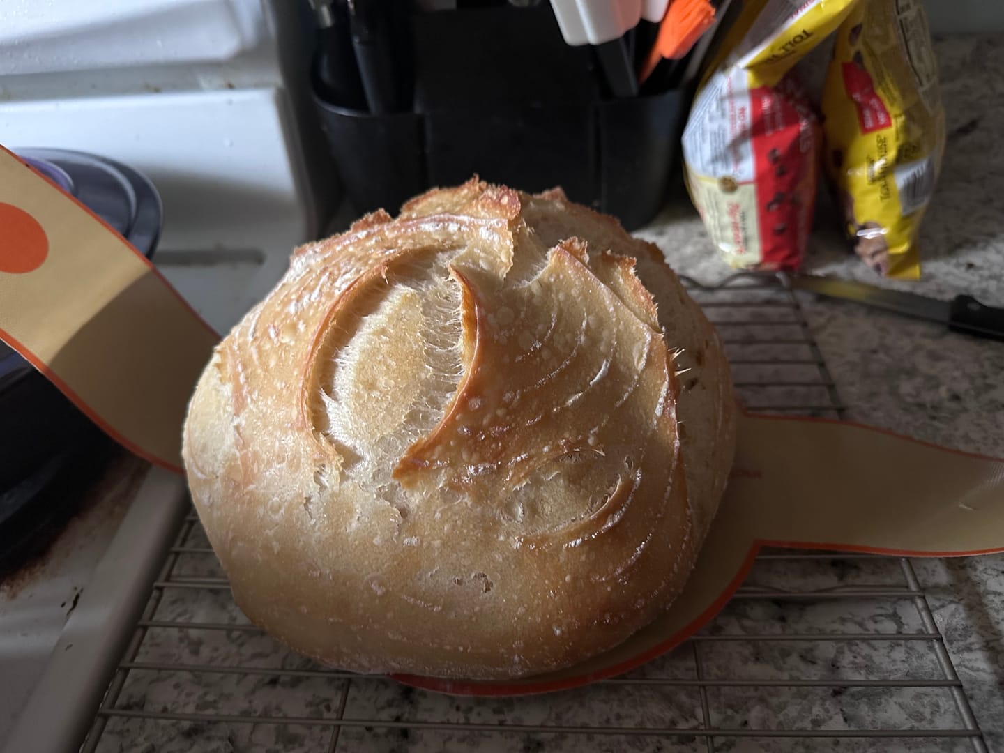 Customer photo review of Sourdough Starter Survival Guide | A Clear, Beginner-Friendly System for Feeding & Maintaining a Healthy Starter