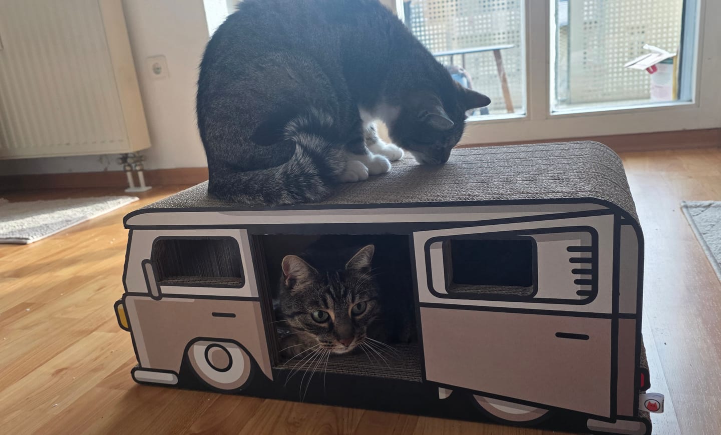 Customer photo review of KratzCamper „Dream in Cream"