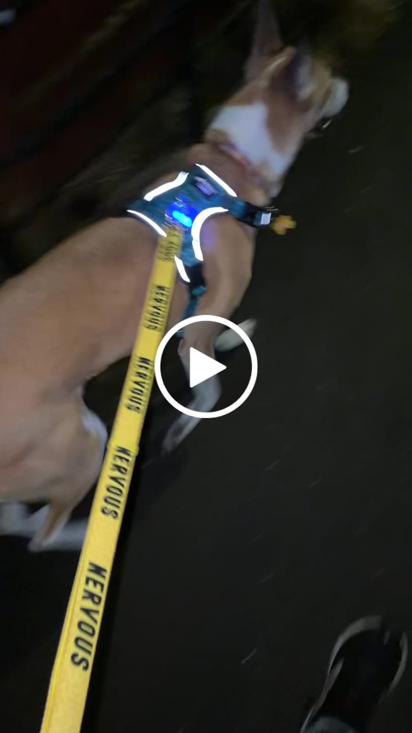 Customer video review of Awareness Multi-Way Lead