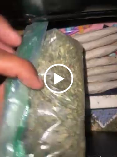 Customer video review of Exotic Shake