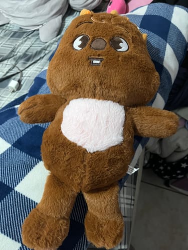 Customer photo review of SKZ Teddybear Plush