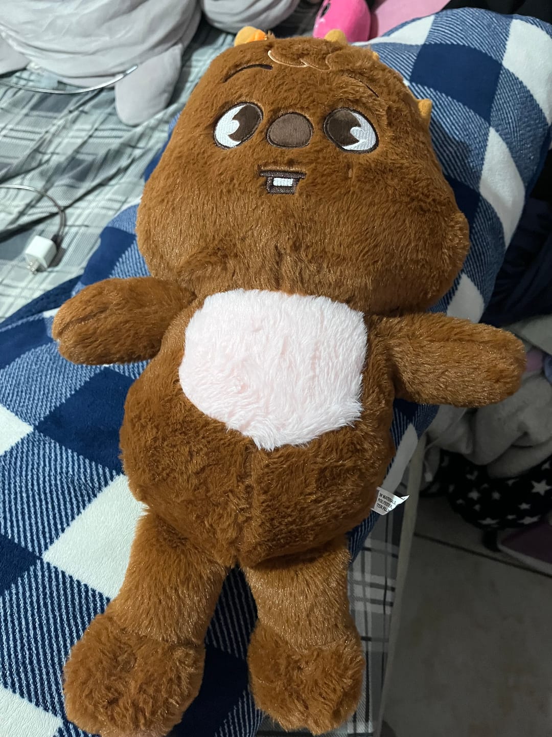 Customer photo review of SKZ Teddybear Plush