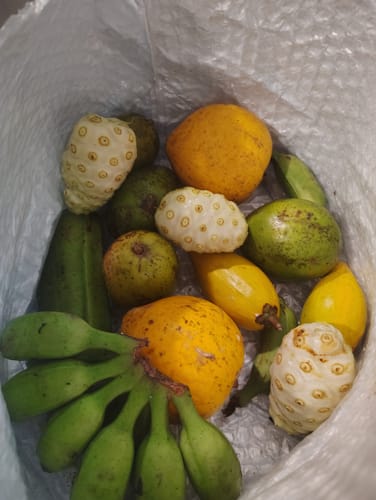 Customer photo review of Random Box