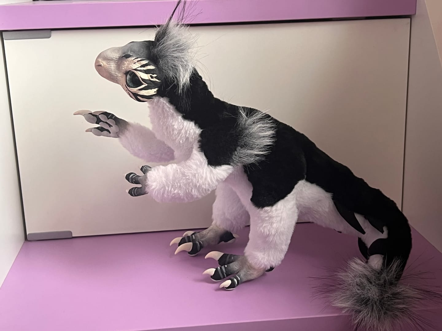 Customer photo review of Mercurian raptor - black and white