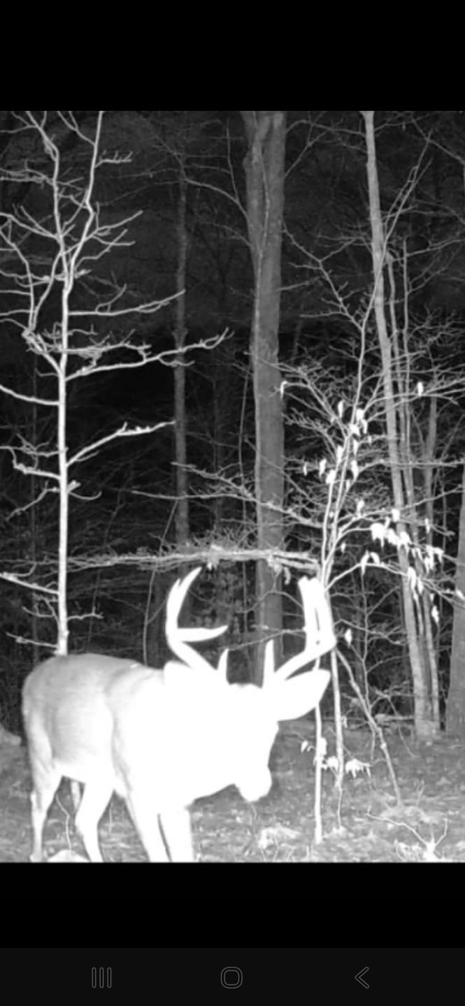 Customer photo review of TACTACAM REVEAL Solar Panel  Solar Power Solution for Trail Cameras