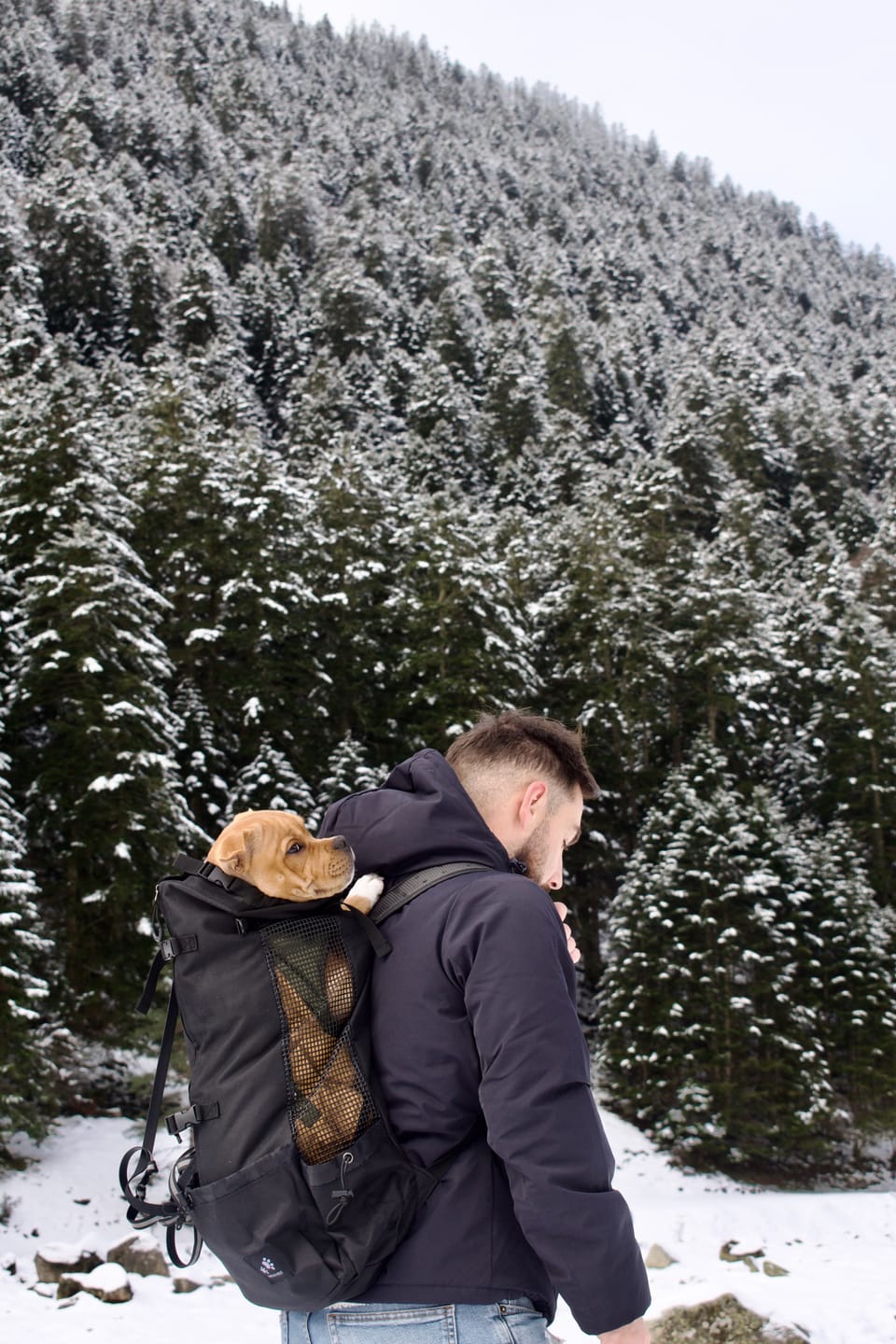 Customer photo review of Sac Porte Chien Randonnée